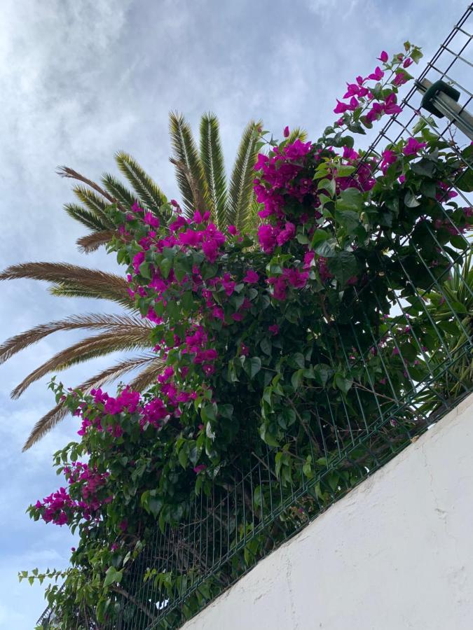 Elena Studio Costa Adeje  Εξωτερικό φωτογραφία