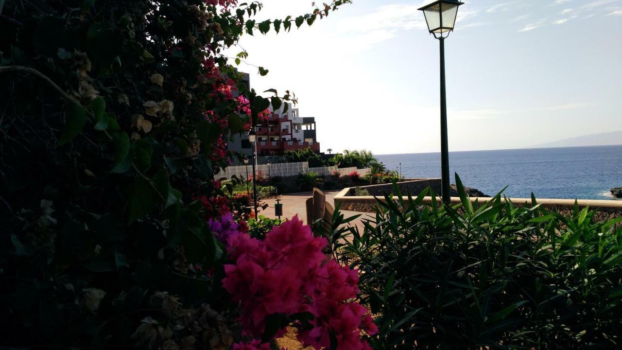 Elena Studio Costa Adeje  Εξωτερικό φωτογραφία