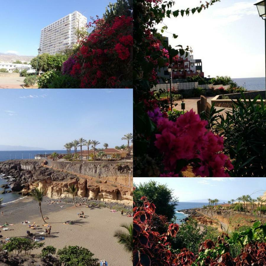 Elena Studio Costa Adeje  Εξωτερικό φωτογραφία